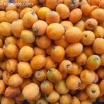 Çin topu hapları sipariş vermek