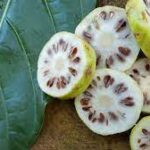 Çin topu 4 lü tibet macunu nerede satılıyor