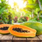 Vega hapı online eczaneler