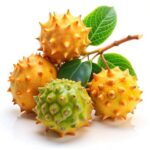 Vega 4 lü hap fiyat trendyol