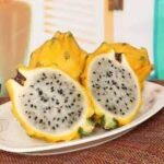 Kamagra jel nasıl kullanılır