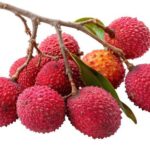 Vega 100 mg 30 lu satışı 