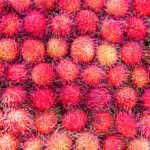 Vega 100 mg 4 lü tablet satışı